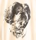 画像10: 30%OFF！プリントロングスリーブティー(テト)　ObyO print long sleeve tee(TETO）《セール商品につき返品不可》