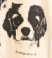 画像12: 30%OFF！プリントショートスリーブティー(ホリー)　ObyO print short sleeve tee(holly）《セール商品につき返品不可》