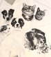画像17: 30%OFF！プリントショートスリーブティー(ニコ)　ObyO print short sleeve tee(NICO）《セール商品につき返品不可》