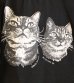 画像18: 30%OFF！プリントショートスリーブティー(ニコ)　ObyO print short sleeve tee(NICO）《セール商品につき返品不可》
