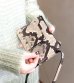 画像16: 30%OFF！PITONE スマートフォンショルダー《セール商品につき返品不可》