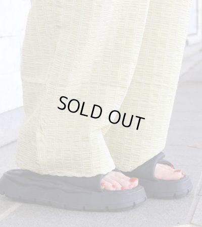 画像9: シアーストライプパンツ　 Sheer Stripe Pants