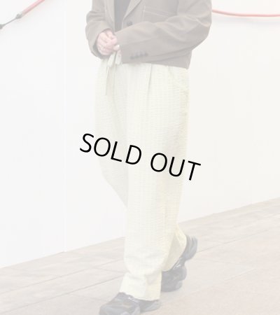 画像2: シアーストライプパンツ　 Sheer Stripe Pants