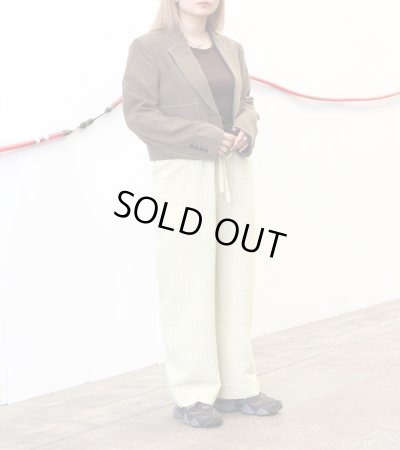 画像3: シアーストライプパンツ　 Sheer Stripe Pants