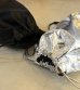 画像27: レザーチューブバッグ　Leather Tube Bag