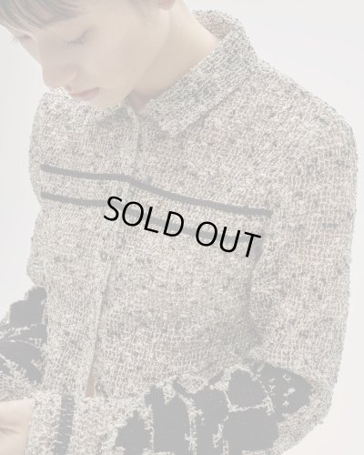 画像5: エンブロイダリーメッシュシャツ　Embroidery Mesh Shirts　