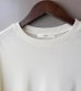 画像13: シアーベロアティーシャツ　Sheer Velour T-shirts