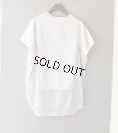 画像42: サイドシアープルオーバー