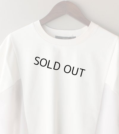 画像38: サイドシアープルオーバー