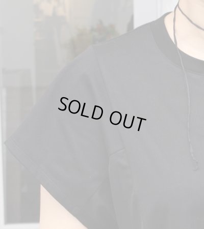 画像19: サイドシアープルオーバー