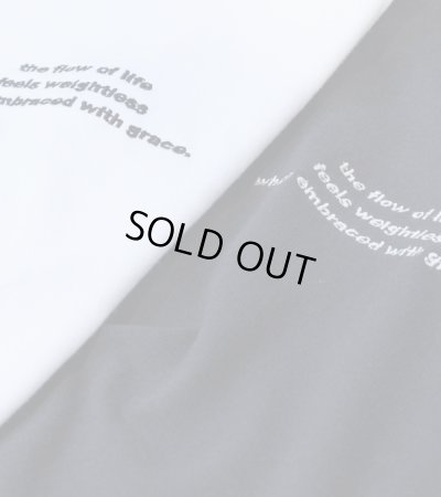 画像26: エンブロイダリーロゴティーシャツ　Embroidery Logo T-shirts