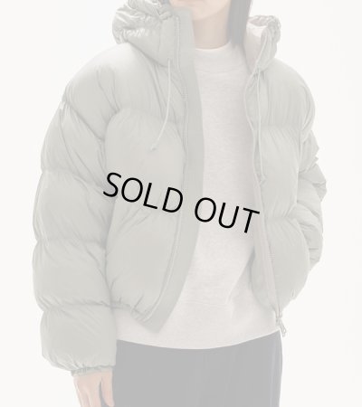 画像13: コットンブラッシュスウェット　Cotton Brushed Sweat