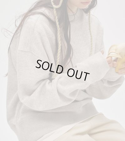 画像12: コットンブラッシュスウェット　Cotton Brushed Sweat