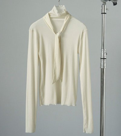 画像2: ベロアタイトップス　Velour Tie Tops