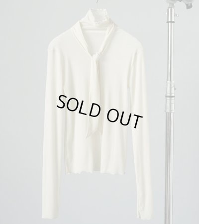 画像2: ベロアタイトップス　Velour Tie Tops