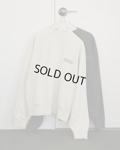 画像3: エンブロイダリーロゴスウェット　Embroidery Logo Sweat