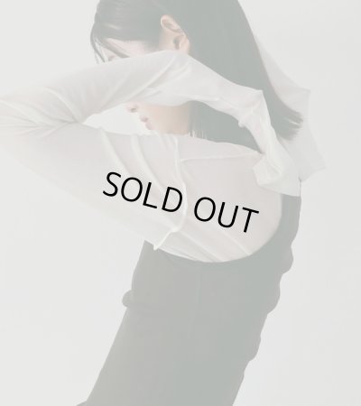 画像13: シアーロングTシャツ　Sheer Long T-Shirts