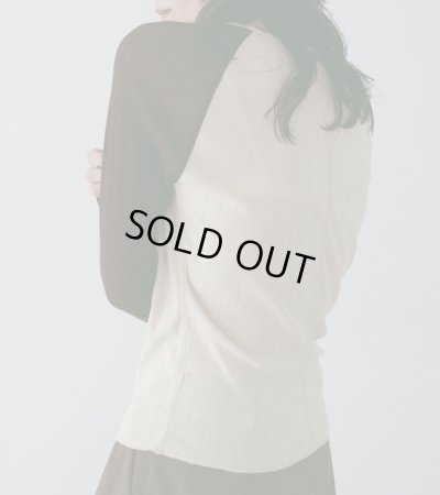 画像6: シアーラグランティーシャツ　Sheer Raglan T-Shirts