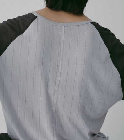 画像9: シアーラグランティーシャツ　Sheer Raglan T-Shirts