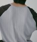 画像9: シアーラグランティーシャツ　Sheer Raglan T-Shirts (9)