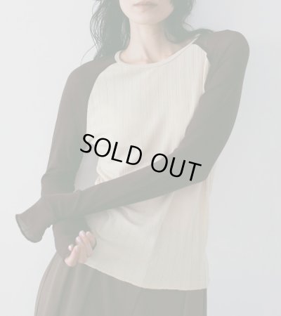 画像5: シアーラグランティーシャツ　Sheer Raglan T-Shirts