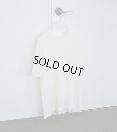 画像2: シアーオーバーティーシャツ　Sheer Over T-Shirts