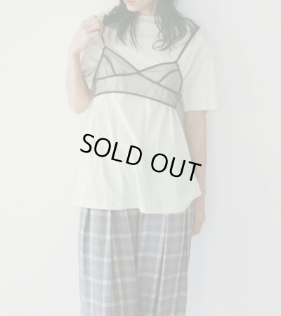 画像13: シアーオーバーティーシャツ　Sheer Over T-Shirts