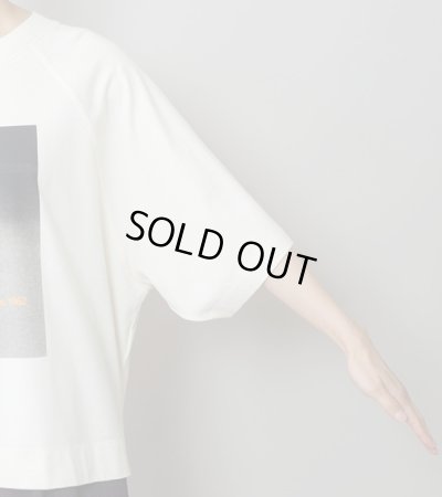 画像19: コットンジャージフォトプリントTシャツ