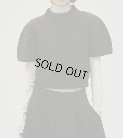 画像8: ソフトフライスタートルネックトップス　Soft Fraise Turtleneck Tops