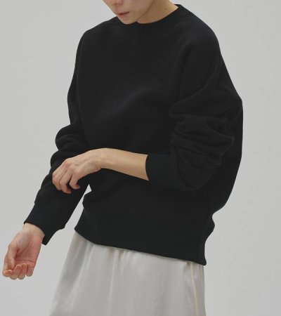 画像15: コットンブラッシュスウェット　Cotton Brushed Sweat