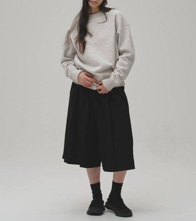 画像10: コットンブラッシュスウェット　Cotton Brushed Sweat