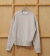 画像3: コットンブラッシュスウェット　Cotton Brushed Sweat (3)