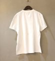 画像12: 30%OFF！プリントショートスリーブティー(ニコ)　ObyO print short sleeve tee(NICO）《セール商品につき返品不可》
