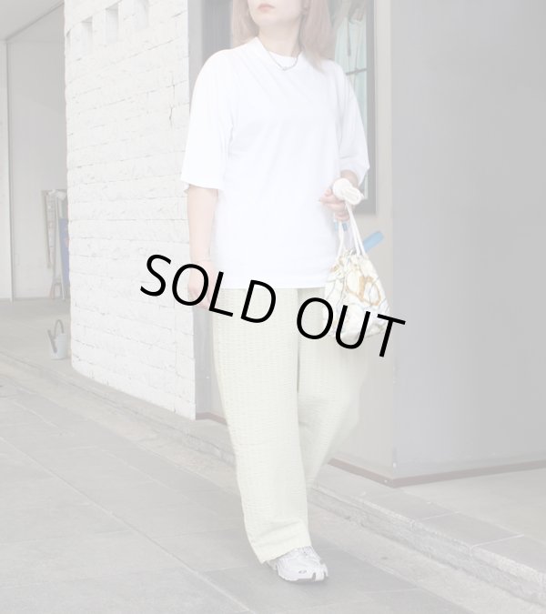 画像12: シアーストライプパンツ　 Sheer Stripe Pants