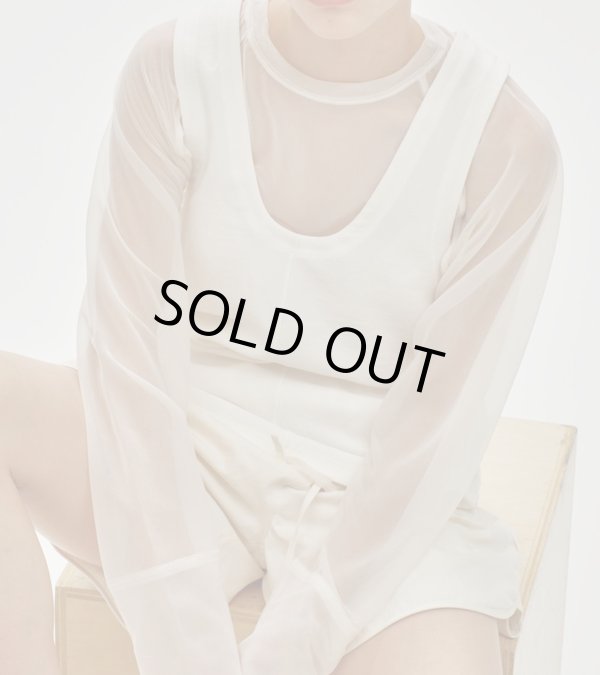 画像1: 20%OFF！シアーラグランロングティーシャツ　Sheer Raglan Long T-shirts《セール商品につき返品不可》