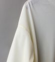 画像14: シアーベロアティーシャツ　Sheer Velour T-shirts