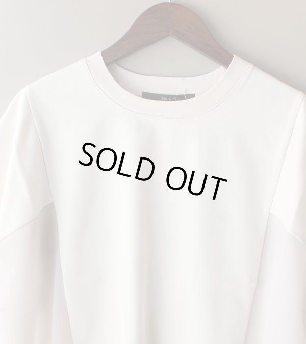 画像38: サイドシアープルオーバー