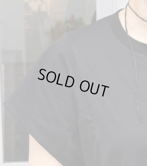 画像19: サイドシアープルオーバー