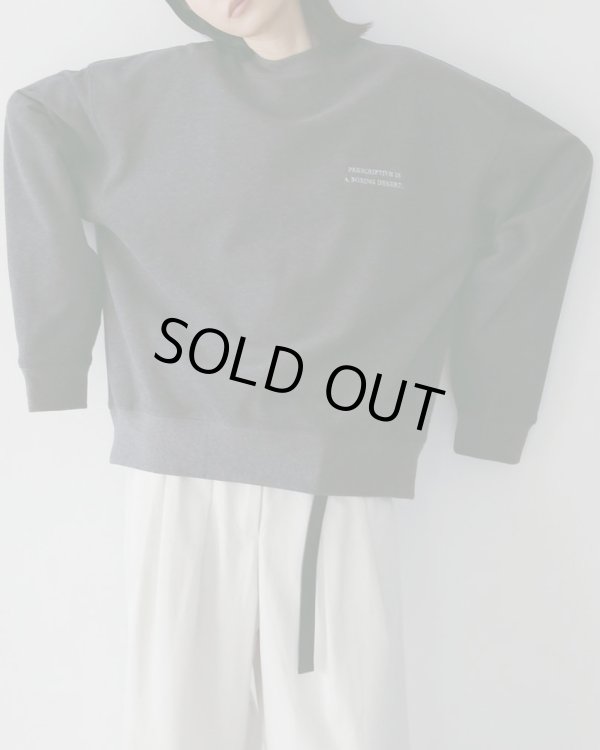 画像12: エンブロイダリーロゴスウェット　Embroidery Logo Sweat