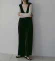 画像9: ベロアVネックコンビネゾン　Velour Vneck Combinaison