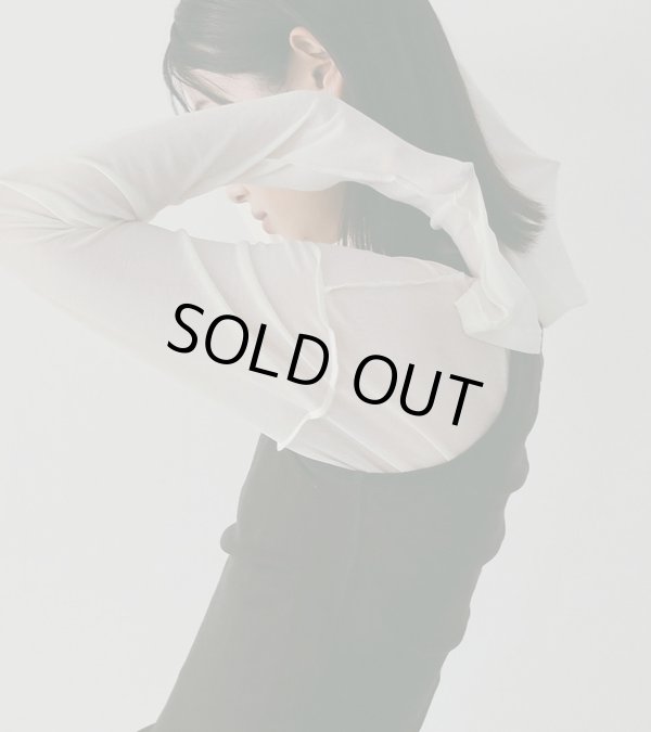 画像13: シアーロングTシャツ　Sheer Long T-Shirts