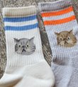 画像6: CAT socks