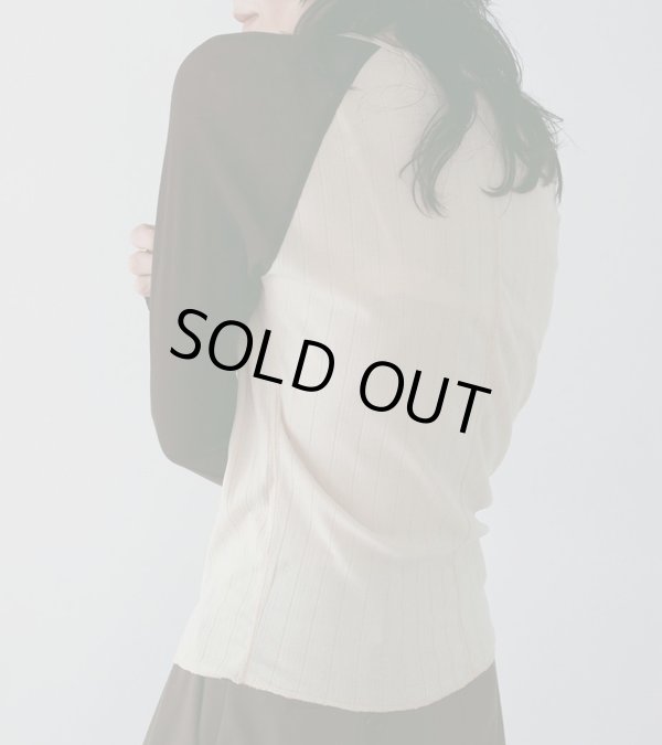 画像6: シアーラグランティーシャツ　Sheer Raglan T-Shirts