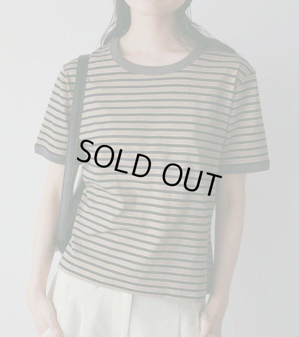 画像6: マルチボーダーティーシャツ　Multi Border T-Shirts