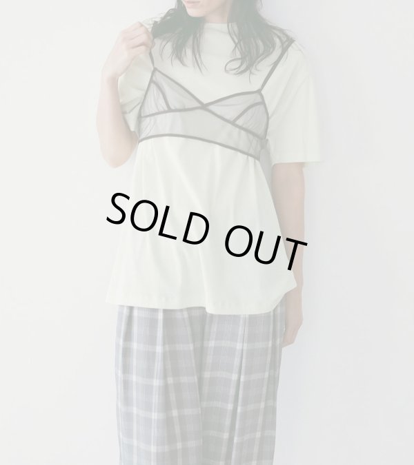 画像13: シアーオーバーティーシャツ　Sheer Over T-Shirts