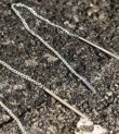画像3: ロングチェーンピアス　Long Chain Pierce(Silver925)