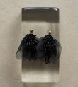 画像4: チュール×ビーズピアス　Tulle x Beads Pierce