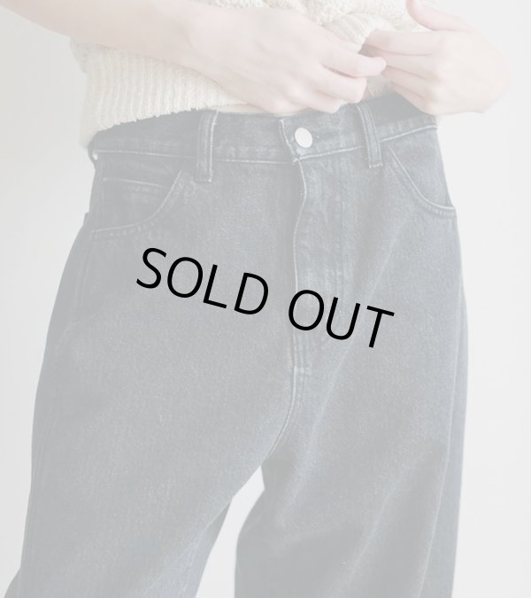 画像9: パネルブラックデニム　Panel Black Denim