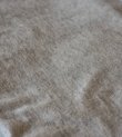 画像4: ウールコンパクトティーシャツ　Wool Compact T-shirts