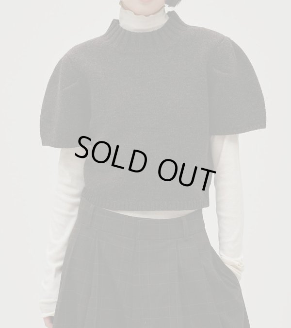 画像8: ソフトフライスタートルネックトップス　Soft Fraise Turtleneck Tops